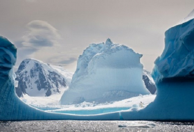 Antarctic peninsula temperatures have fallen, study shows 